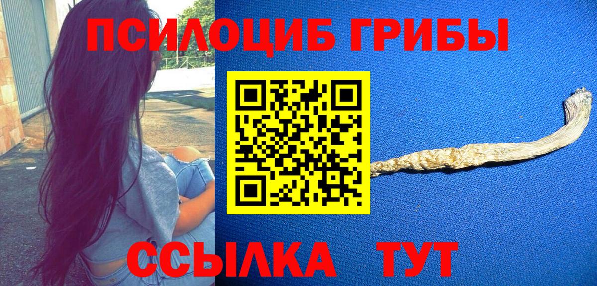 Партизанск  Галлюциногенные грибы прущие грибы  Вход с VPN 